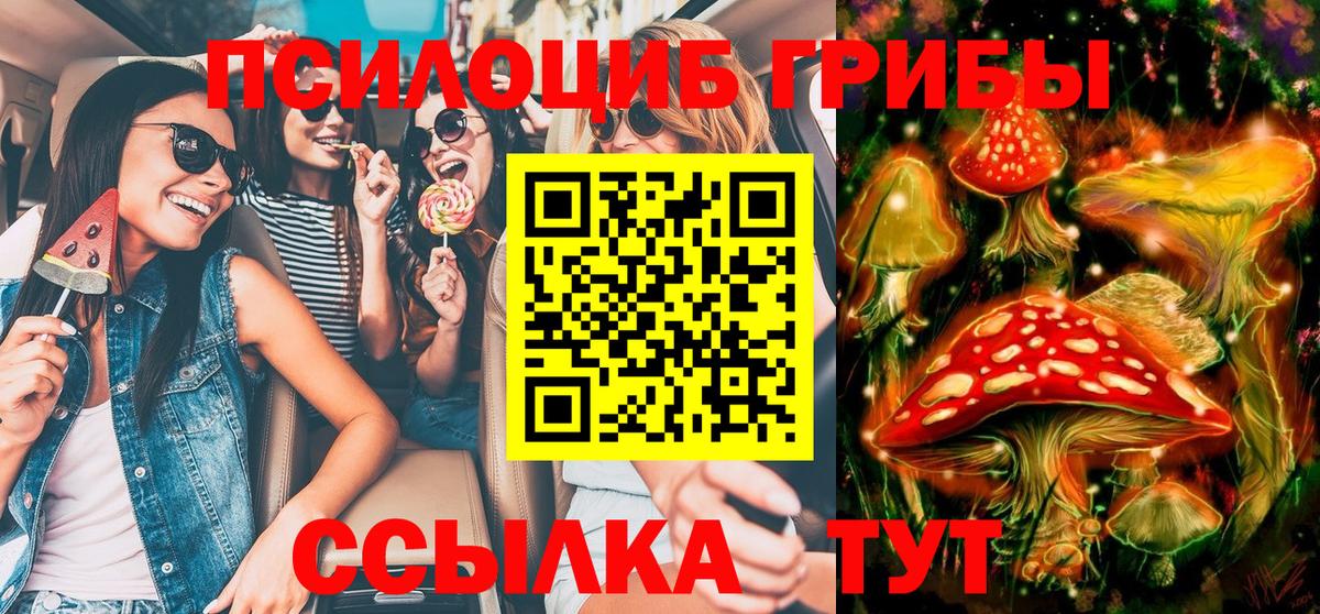 Галлюциногенные грибы Psilocybine cubensis Нягань