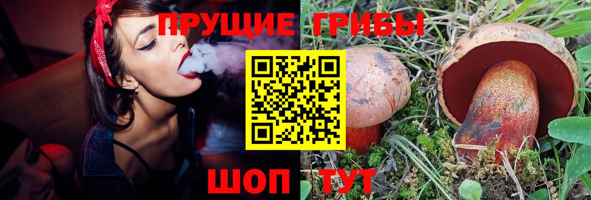Нягань  Вход с VPN  Кокаин  ГАШ  Мефедрон   Марихуана 